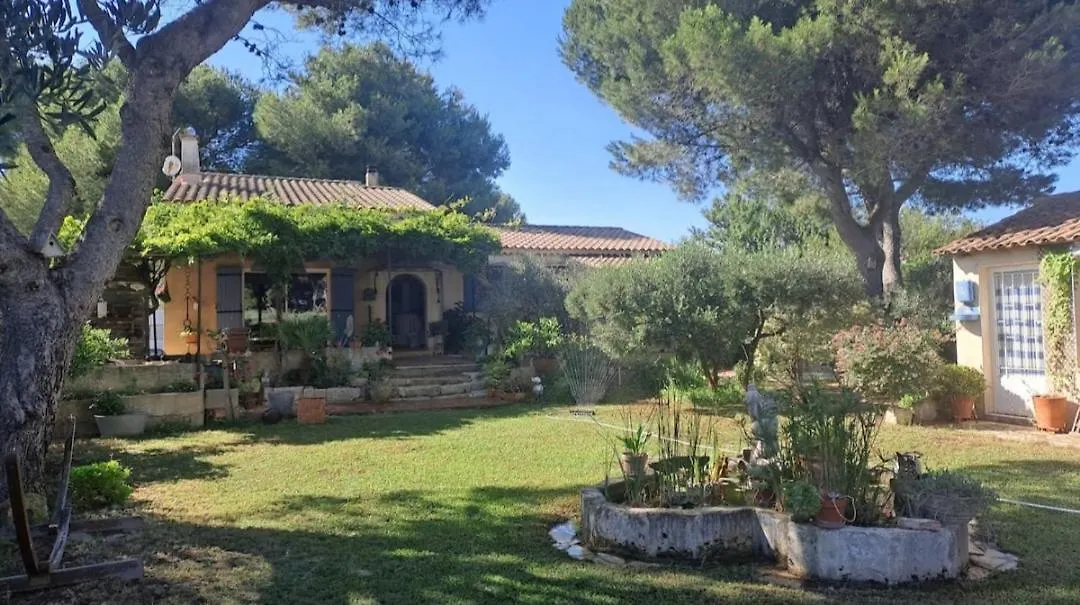 Villa Provencale Arles